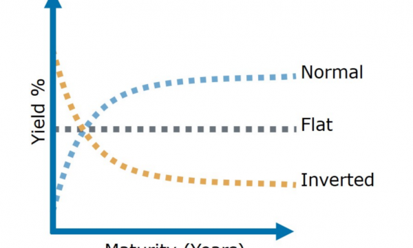 Cos’è la curva dei tassi di interesse e perchè è fondamentale per investire